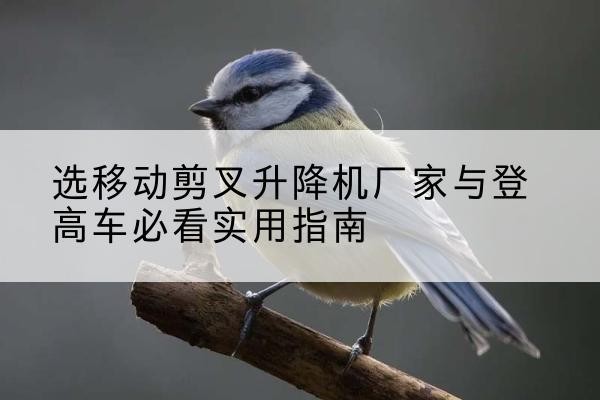 海沧电动升降机厂家-选移动剪叉升降机厂家与登高车必看实用指南