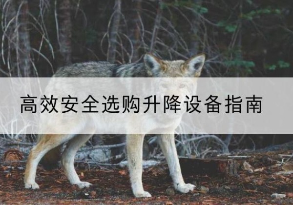 海沧升降货梯厂家推荐-*安全选购升降设备指南