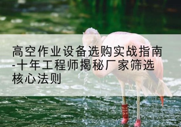 海沧剪叉式升降机厂家-高空作业设备选购实战指南-十年工程师揭秘厂家筛选核心法则